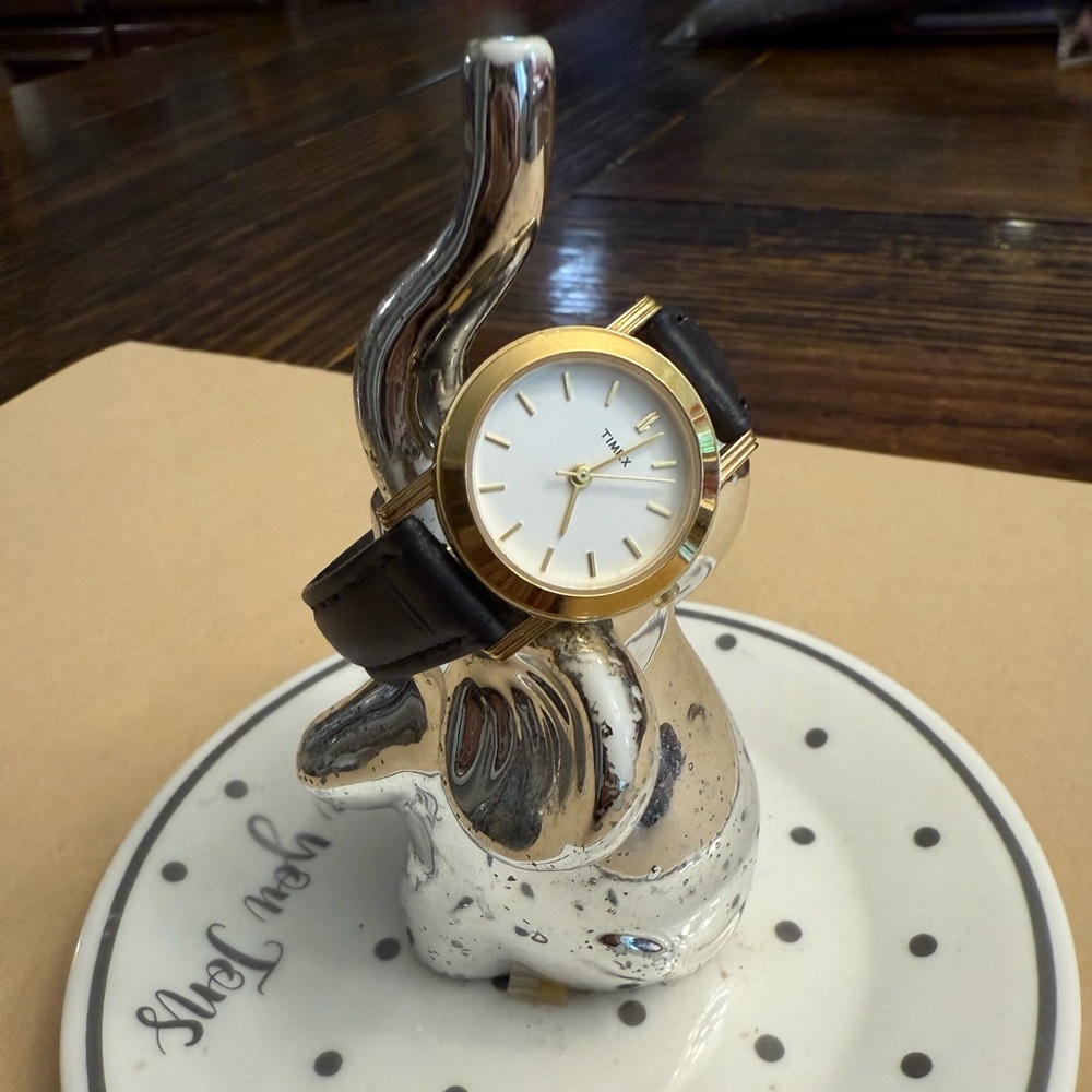 Timex Gold and Black Kids Watch
